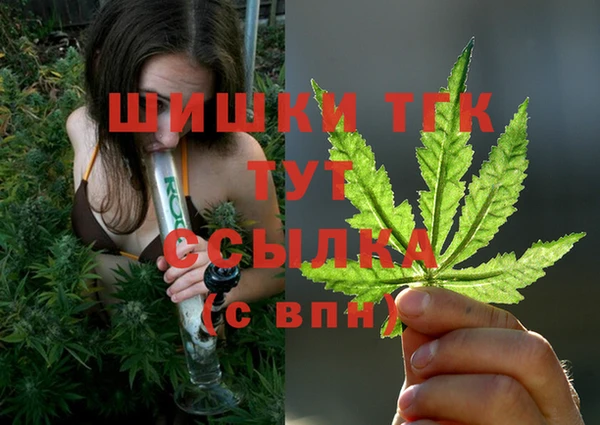 стафф Абинск