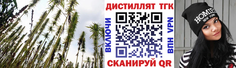 ТГК концентрат  закладки  Углегорск 