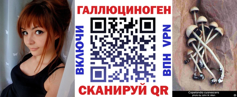 Галлюциногенные грибы GOLDEN TEACHER OMG ссылки Углегорск купить наркоту